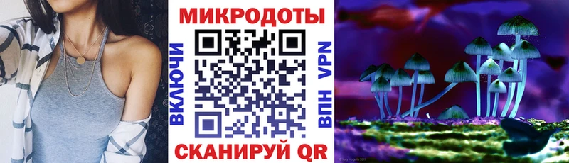 Псилоцибиновые грибы прущие грибы  закладки  Белинский 